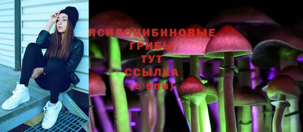 ПСИЛОЦИБИНОВЫЕ ГРИБЫ Братск