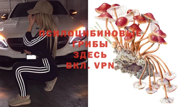 хмурый Армянск